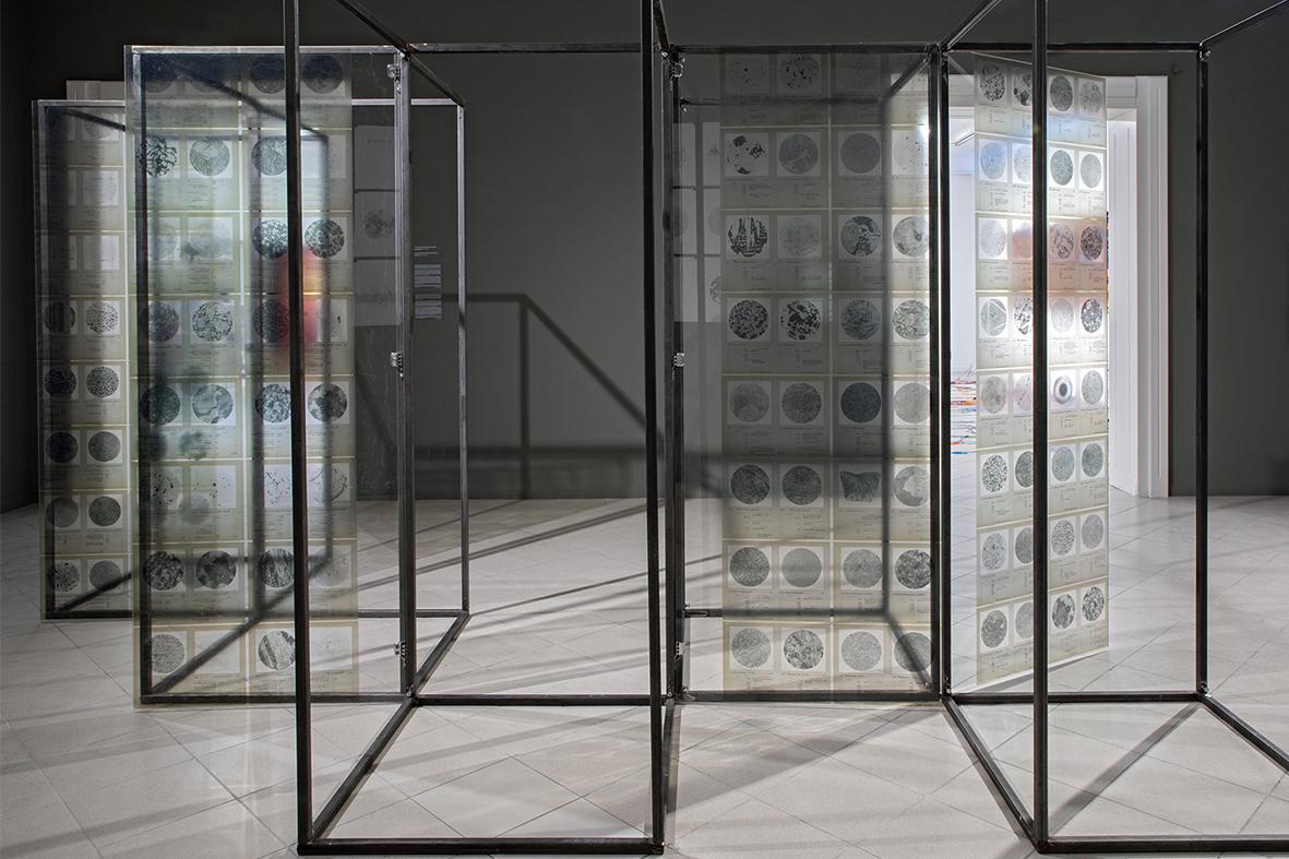 “I Would Put All Mighty Weaponry Into the Museums That No One Visits”