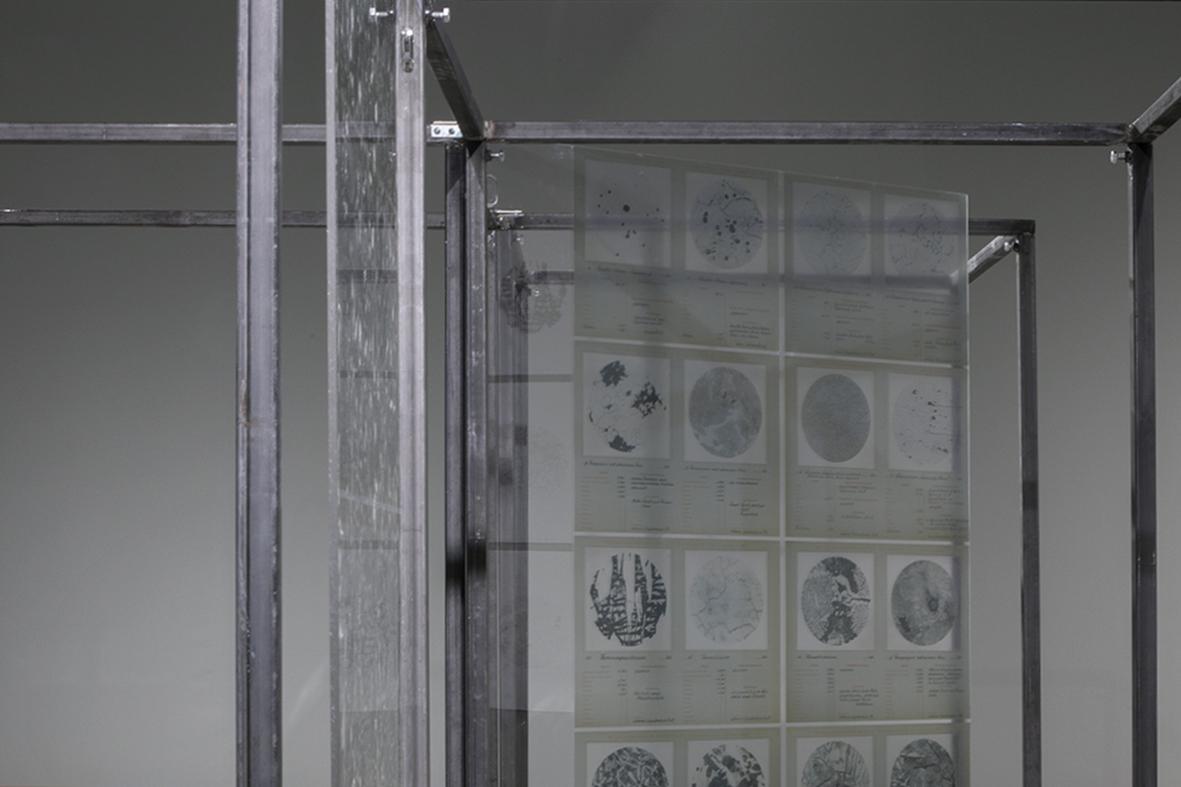 “I Would Put All Mighty Weaponry Into the Museums That No One Visits”