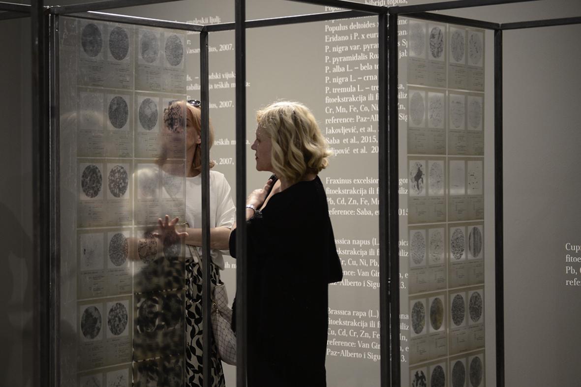 “I Would Put All Mighty Weaponry Into the Museums That No One Visits”