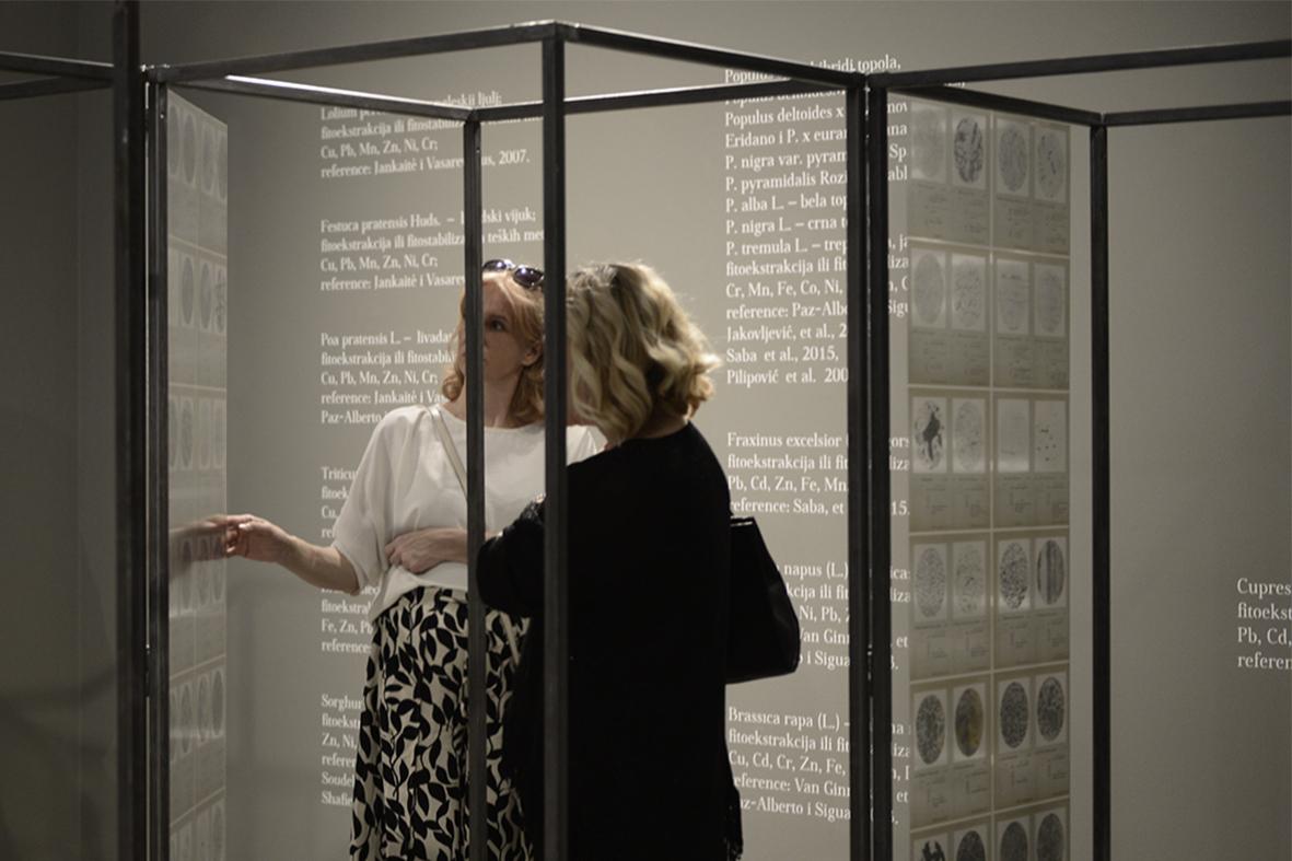 “I Would Put All Mighty Weaponry Into the Museums That No One Visits”