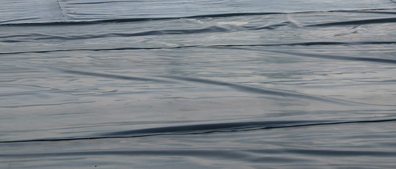 Plastic Water