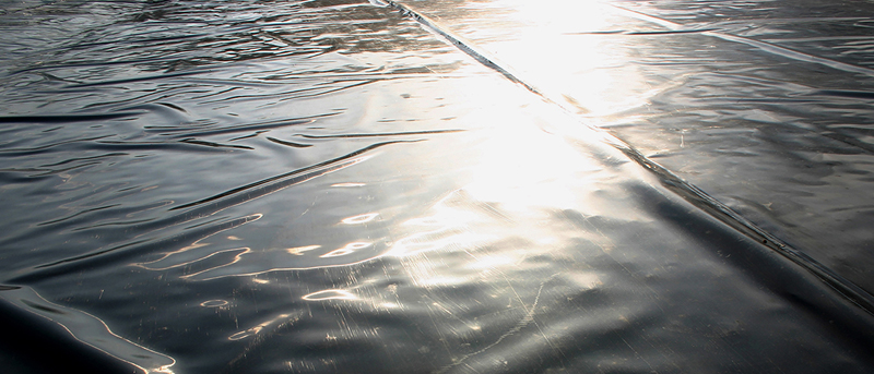 Plastic Water