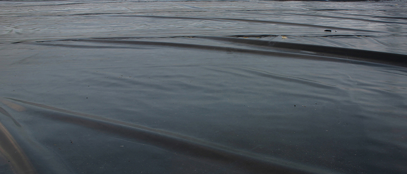 Plastic Water