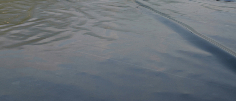 Plastic Water