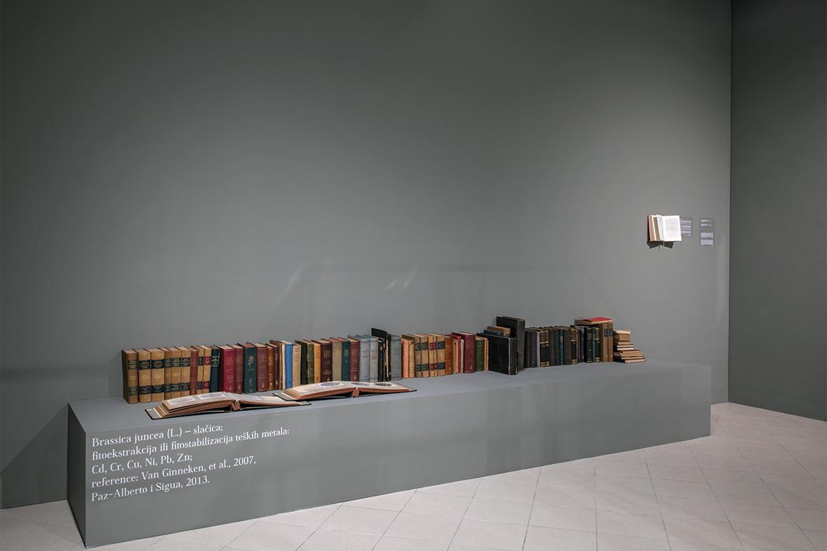 Saved Books. The Art of Transmitting the Knowledge Without the Need for Subsequent Reparation.